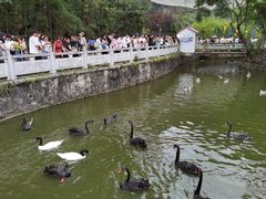 -黔灵山公园