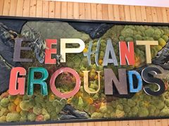 -Elephant Grounds(STARSTREET)