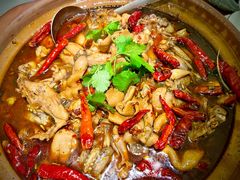 肥肠牛蛙砂锅-马头巷·食景园(苏州总店)