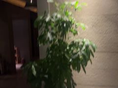 -浅深Cheersum(曹杨店)