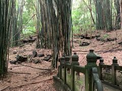 -凤栖山