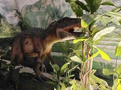 -栾川竹海野生动物园