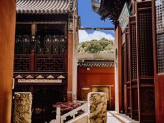 -上海白云观