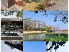 -顺峰山公园