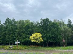 -同里国家湿地公园