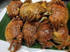 -蔼若春.传承三十年云南菜(金碧公园店)
