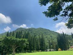 -深圳仙湖植物园