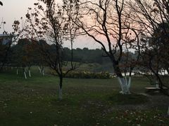 -艾溪湖湿地公园