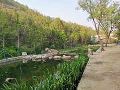 -白水寺森林公园