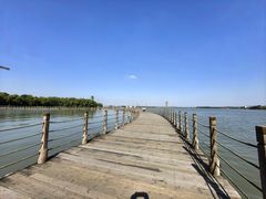 -溱湖国家湿地公园