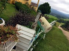 -黄色小屋