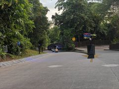 -圣淘沙天际线斜坡滑车