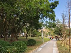 -大屏嶂森林公园
