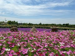 -嘉北郊野公园