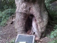 android_upload_pic-府山公园