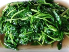 清炒马兰斗-唔呶喔哩酒家(生产街店)
