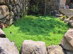 -MOJ coffee(瓯海泽雅水碓坑店)