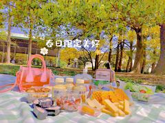 -上海共青森林公园