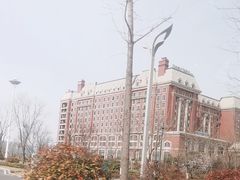 -星光岛