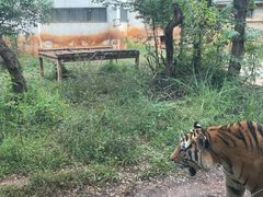 -昆明动物园