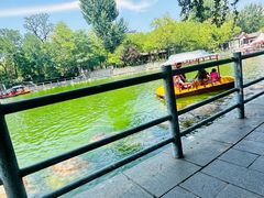 -莲湖公园