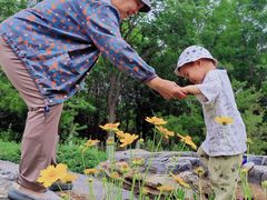 -永定河休闲森林公园
