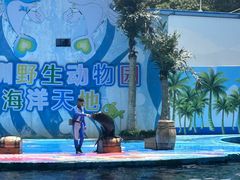 -深圳野生动物园