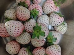 -盒马鲜生(富田新天地店)