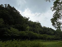 -汤山公园