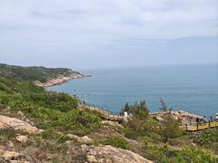 -广东惠东海龟国家级自然保护区