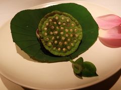 -叶叶菩提·晋福宫