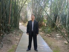 -大屏嶂森林公园