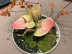 -香山湖家家宴(中山陵店)