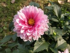-菊花台公园