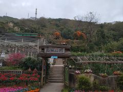 -青青世界