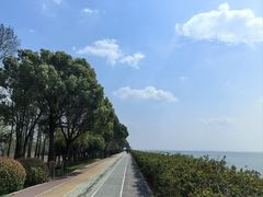 -贡湖湾湿地公园