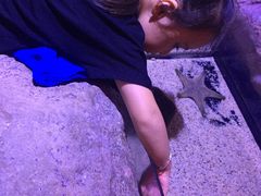 -暹罗海洋世界