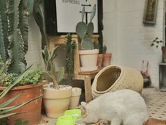 -彳亍咖啡·这里(水湾路店)