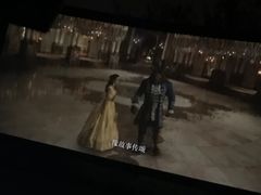 -枫花园汽车电影院(朝阳公园店)