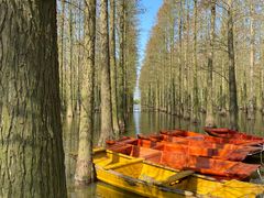 -渌洋湖湿地公园