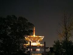 -广富林宰相府酒店·水云间