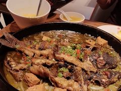 -老板恋上鱼(恒隆广场店)