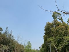 -蜀冈西峰生态公园