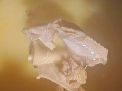 -永安鱼庄·镇江菜(丁卯店)