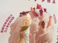 -莉莉熊Lililove Gelato (意大利手工冰淇淋)