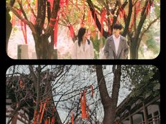 -西安青龙寺遗址景区