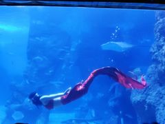 -左海海底世界