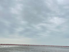 -红树林天天赶海