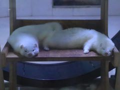 -台州海洋世界