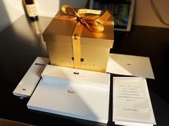 -BLACKSWAN黑天鹅(环球店)